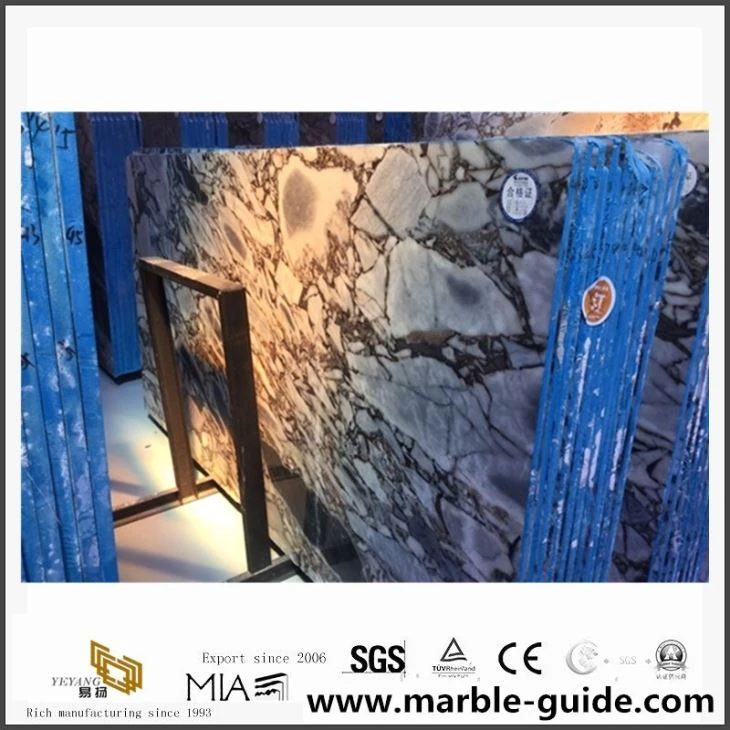 2017 NEW Marble Silver Blue Marble Natural Luxury Slabs For Floor Tiles